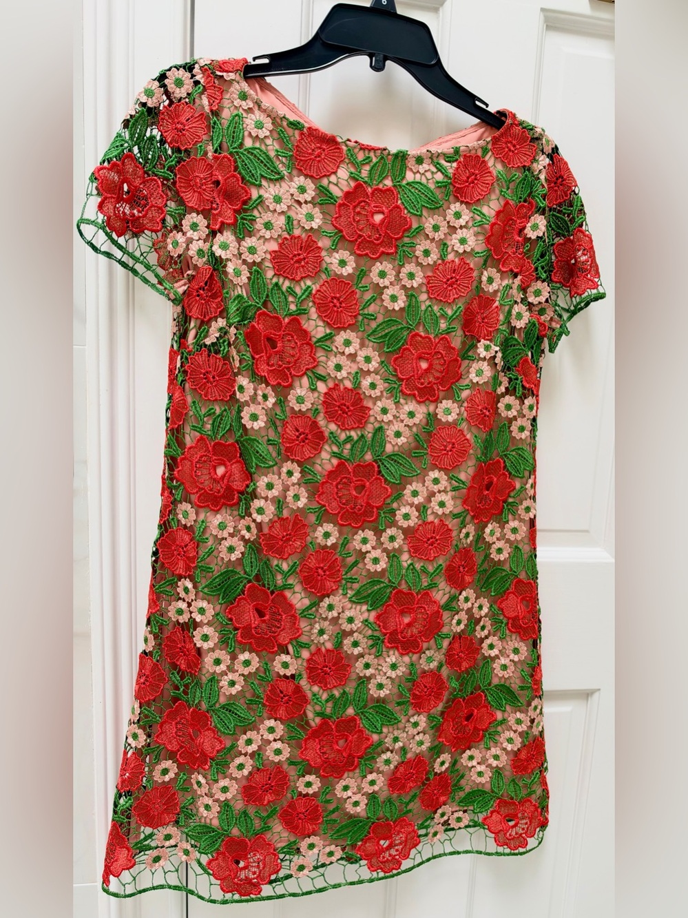 Embroidered Red Floral Mini Dress with Green Leaf Accents
